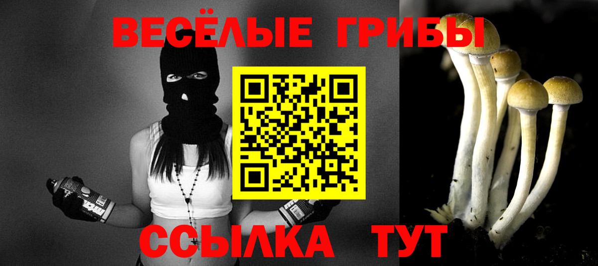 Гусиноозёрск  Галлюциногенные грибы Psilocybe  Вход с VPN 